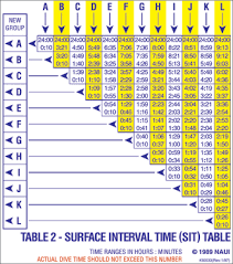 11 Scientific Scuba Dive Chart