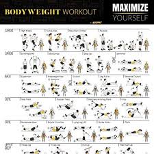 40 Curious Full Body Exercise Chart