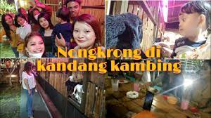 We did not find results for: Benteng Farmhouse Wisata Edukasi Kota Tasikmalaya Nongkrong Ngopi Di Kandang Youtube