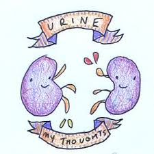 Kidney Joke Google Search Medical Memes Medical Humor Nurse Humor