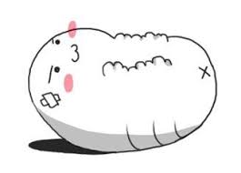 랜뽑충들 보이면 무조건 즉처티배깅 말라 뒤질때까지야 볼때마다 강종이네 ㅋㅋㅋㅋㅋㅋ 박수쳐주고싶다. ë² ì¸™ì´ Bechunge Twitter