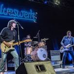 SEAN CHAMBERS & The Savoy Brown Rhythm Section