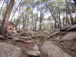 Pinares de rodeno, albarracín, teruel. Wikiloc Foto De Paisaje Protegido De Los Pinares De Rodeno Albarracin Pinturas Rupestres 1 6
