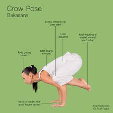 Crow Pose Bakasana Crow Pose Yoga Asanas How To Do Yoga