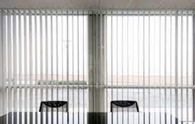 Homeworx installed outdoor blinds at my place just before christmas. Sydney Blinds Security Doors Shutters Pet Doors Edmondson Park Nsw 2174 Willowdale