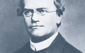 Gregor Mendel