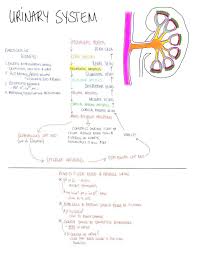 Nursing School Studying Image By Heba Atef On Science Nursing Study Nursing School