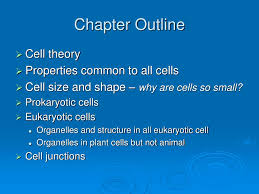 Maybe you would like to learn more about one of these? Ppt Cell Structure And Function Powerpoint Presentation Free Download Id 6062482