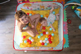Aire De Jeux A Balles Chouette Ludi Comparateur Avis Prix