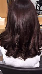 Voir plus d'idées sur le thème cheveux acajou, cheveux, idée couleur cheveux. Couleur Cheveux Chocolat 22 Nuances Chocolat Tendance 2021