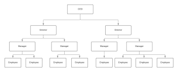 The next position in the organizational structure of a finance department is the vice president. 5 Best Organizational Structure Examples For Any Business Tallyfy