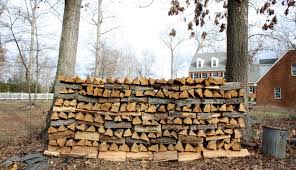 the best and worst trees for firewood hobby farms