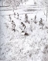 This Photograph Was One Of Many That Inspired The Movie 10 Canoes Goose Egg Hunters Australian Aboriginal History Aboriginal History Australian Aboriginals