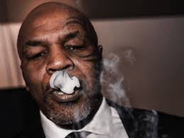 Tyson 2.0, Mike Tyson's Premium Cannabis Brand, Announces Key Partnerships  with Leading Cannabis Innovators