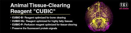 To cover the surface of organs and protect them b. Animal Tissue Clearing Reagents Cubic Tokyo Chemical Industry Co Ltd Apac