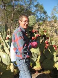 They're lovely plants and can be very rewarding to grow, but they aren't as bulletproof as people seem to think. Archives Tarrangower Cactus Control Group Inc