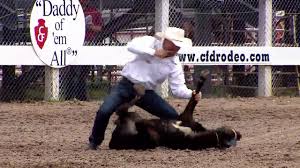 brazile leads tie down roping all around at cheyenne