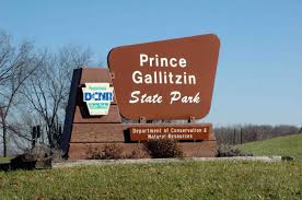 They also have picnic pavilions that can be used by a large group of friends and families. Prince Gallitzin State Park Pa Overcrowded State Parks Parks Department Park