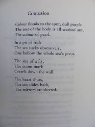 Contusion Sylvia Plath From My Copy Of Ariel Sylvia Plath Sylvia Plath Quotes Poems
