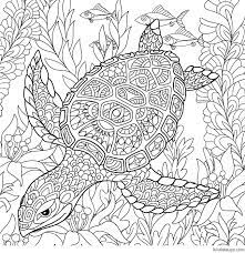 coloriage antistress une tortue marine lulu la taupe jeux gratuits pour enfants de poisson endormi