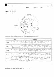 Cell Cycle Labeling Answers Cell Cycle Labeling Worksheet