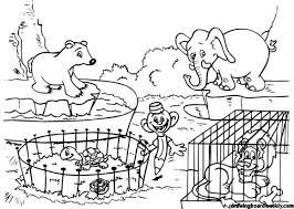 This picture is sure to fascinate, owing to the presence of sharks in them. Pin On Trieda