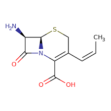 Image result for Cefprozil