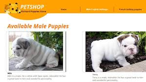 French bulldog breed health concerns! Cincinnati Puppy Website A Scam Bbb Says