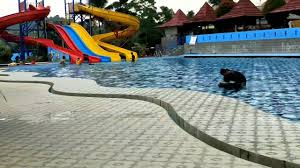 Taman ini berada di sukasari. Taman Bunga Dm Pandeglang Taman Bunga Dm Pandeglang Taman Bunga Pandeglang Seperti Hamparan Ladang Di Eropa Wisata Pandeglang Banten Pandeglang Punya Wisata Baru Kp Jambu Taman Bunga Lory Kerman Still