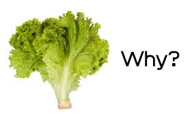 Everybody wants to benefit from the social privileges provided by the profession. Why Does Lettuce Turn Pink 2 Main Reasons To Know