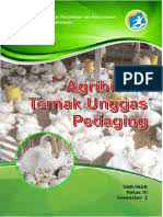 C d telah habis sudah cinta ini. Kunci Gitar Virgoun Surat Cinta Untuk Starla Chord