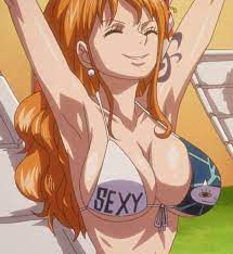 柔らかくて大きな爆乳おっぱいなナミさん大好きです【画像ワンピース】 | 気ままな猫のあにげー