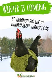Zeit Zum Verwohnen Artgerechte Geflugelhaltung Im Winter Teil 1 In 2020 Huhner Huhner Im Garten Huhnerhaltung Im Garten