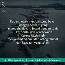 Apa sebenarnya yang dimaksud dengan tanaman jelatang? Bee Ashaari Beeashaari Profile Pinterest