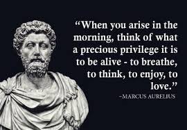 We did not find results for: Princeton Volleyball On Twitter Happy Birthday Marcus Aurelius Born In This Day 1 900 Years Ago Emperor Amp Stoic Philosopher Meditations Stoicism Https T Co Xqfbblxwpa Twitter