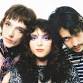 The Velveteers