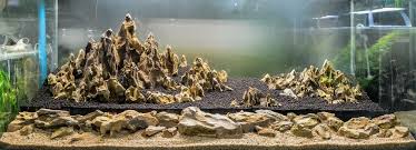 These range from simple to complex with some taking many years to perfect. The Ultimate Beginner S Guide To Aquascaping Your Aquarium