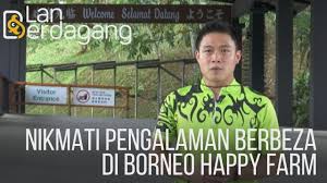 It's a great laid back city that perfectly suits. Lan Berdagang Nikmati Pengalaman Berbeza Di Borneo Happy Farm Youtube