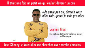 Mad scientist games · description: Dj Arafat Affirme Quil A Couch C3 83 Avec La Femme Dariel Sheney By Ariel Sheney Apres Son Poteau Quand Je Vais Grandir Vous N