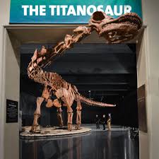 In terms of weight, nothing comes close to outweighing this animal. The World S Largest Dinosaur Can Be Seen Right Now In New York City The Verge