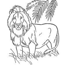 You can also do online coloring for african lion coloring page directly from your ipad, tab or on our webpage here. Top 20 Free Printable Lion Coloring Pages Online