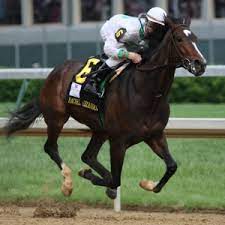 Our online horse trivia quizzes can be adapted to suit your requirements for taking some of the top horse quizzes. 2019 Belmont Stakes Trivia Questions And Answers