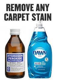 If your pet has just had an accident on your rug, don't rush towards your local carpet cleaning company just yet. Use Pledge To Really Clean Your Stainless Steel Cleaning Cleaning Hacks Deep Cleaning Tips