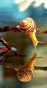 Pin On Macro Photography