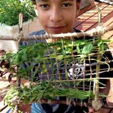 23+ Simple Nature Activities for Kids to Create, Explore & Learn