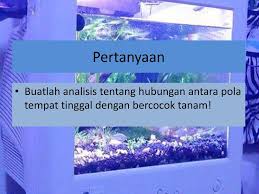Buatlah Analisis Tentang Hubungan Pola Tempat Tinggal Dengan Bercocok Tanam Pintar Mencocokan