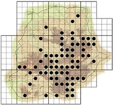 Image result for Strychnos cocculoides