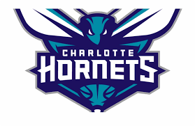 You can also copyright your logo using this graphic but that won't stop anyone from using the image on other projects. The New Primary Logo Of The Charlotte Hornets Charlotte Hornets Logo Transparent Transparent Png Download 128449 Vippng