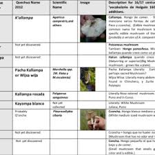 Thousands of companies like you use panjiva to research suppliers and competitors. Pdf Native Mushrooms Local Knowledge And Potential For Food And Health In The Peruvian Andes Update 2012