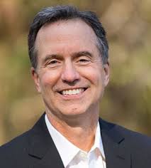 Rebel Falls by Tim Wendel